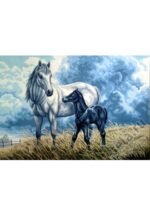 GOBELİN 10.553 60X80 GOBLEN - Görsel 2