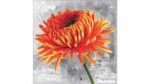 Needleart World İthal Etamin Kiti (Orange Dahlia)