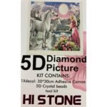 HI STONE 5D Boncuk Elmas İşleme Goblen (30X30)